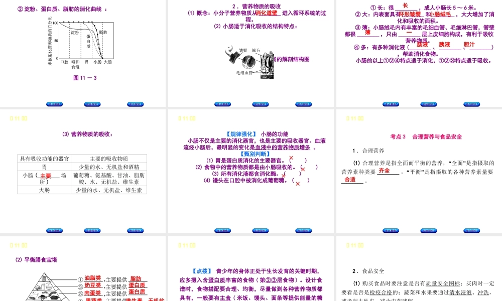 （北京专版）中考生物复习方案 主题五 生物圈中的人 第11课时 人体的营养课件-人教版初中九年级全册生物课件
