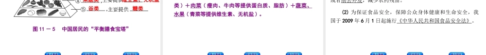 （北京专版）中考生物复习方案 主题五 生物圈中的人 第11课时 人体的营养课件-人教版初中九年级全册生物课件