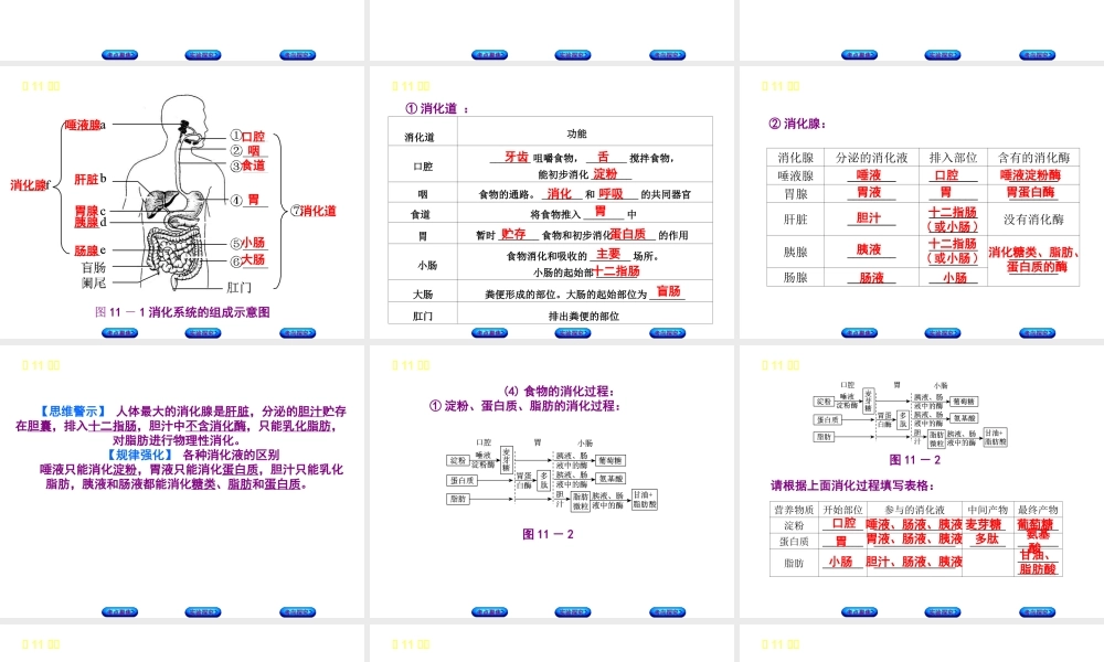 （北京专版）中考生物复习方案 主题五 生物圈中的人 第11课时 人体的营养课件-人教级全册生物课件