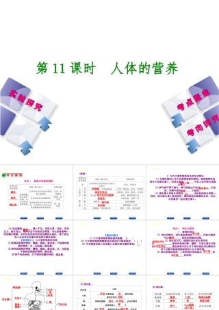 （北京专版）中考生物复习方案 主题五 生物圈中的人 第11课时 人体的营养课件-人教级全册生物课件