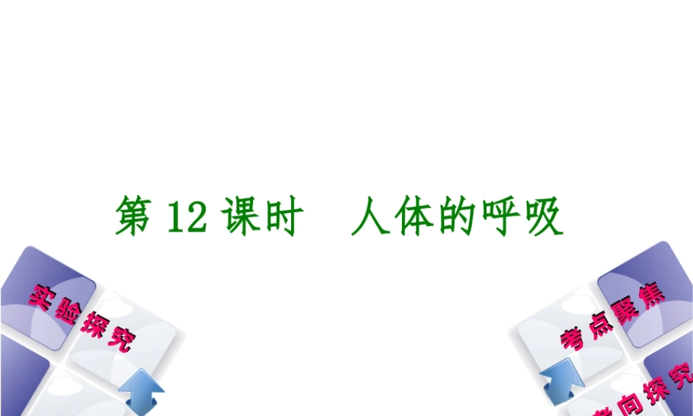 （北京专版）中考生物复习方案 主题五 生物圈中的人 第12课时 人体的呼吸课件-人教版初中九年级全册生物课件
