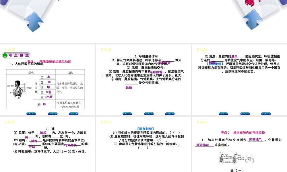 （北京专版）中考生物复习方案 主题五 生物圈中的人 第12课时 人体的呼吸课件-人教版初中九年级全册生物课件