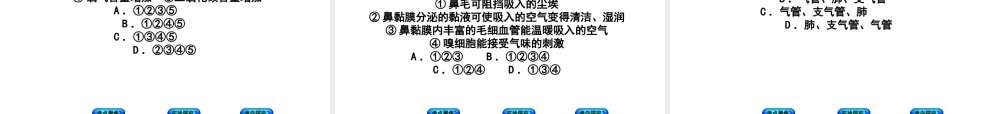 （北京专版）中考生物复习方案 主题五 生物圈中的人 第12课时 人体的呼吸课件-人教版初中九年级全册生物课件