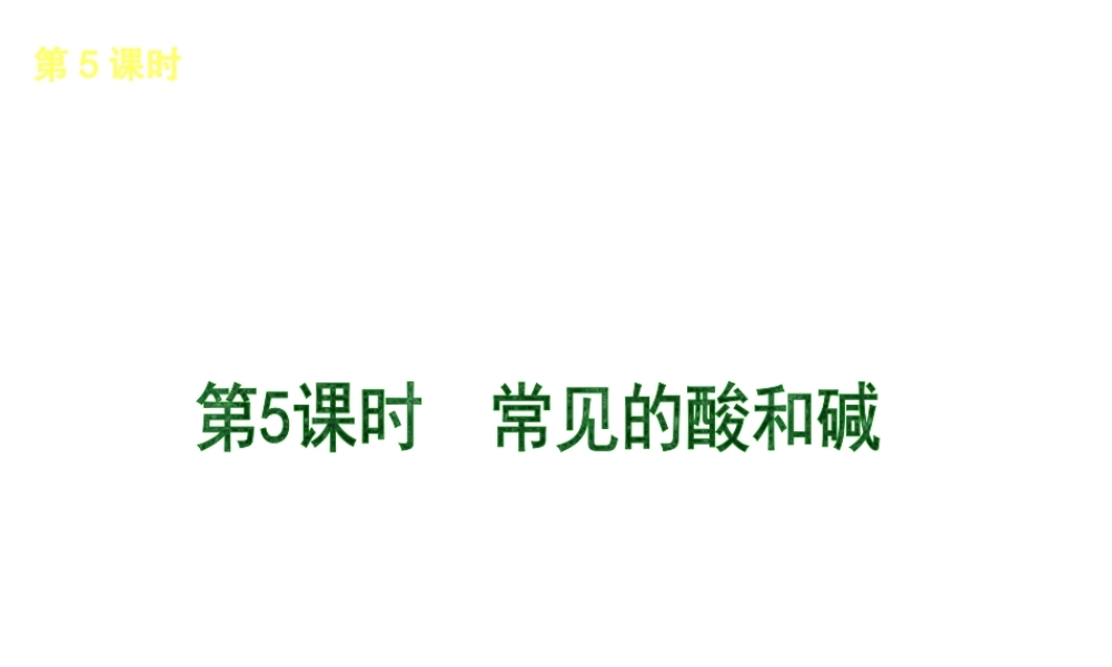 （北京专版）2013届中考化学考前热点冲刺《第5课 常见的酸和碱 》课件（单课考点自主梳理+热点反馈+典例真题分析）