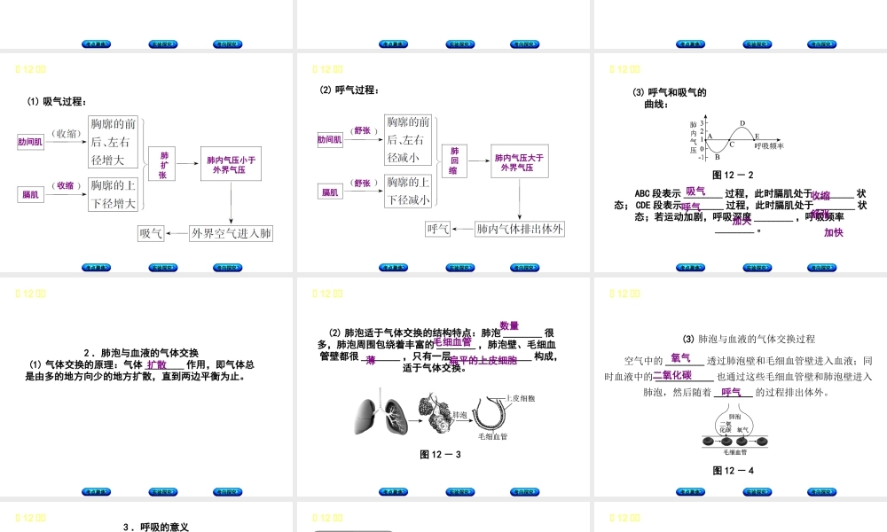 （北京专版）中考生物复习方案 主题五 生物圈中的人 第12课时 人体的呼吸课件-人教级全册生物课件