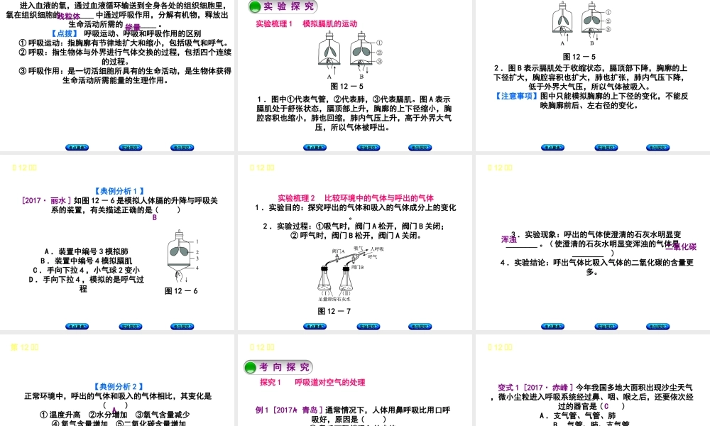 （北京专版）中考生物复习方案 主题五 生物圈中的人 第12课时 人体的呼吸课件-人教级全册生物课件