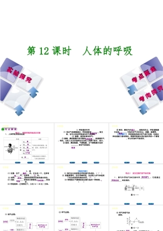 （北京专版）中考生物复习方案 主题五 生物圈中的人 第12课时 人体的呼吸课件-人教级全册生物课件