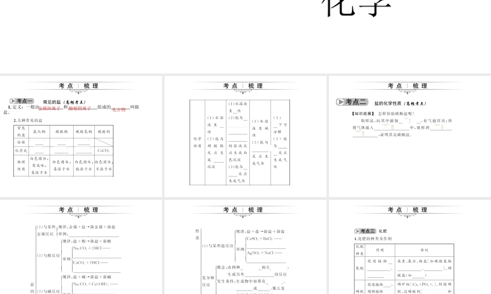 （四川版）中考化学总复习 第一篇 第18讲 盐 化肥课件-人教版初中九年级全册化学课件