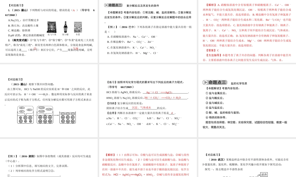 （四川版）中考化学总复习 第一篇 第18讲 盐 化肥课件-人教版初中九年级全册化学课件