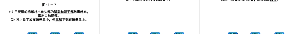 （北京专版）中考生物复习方案 主题五 生物圈中的人 第13课时 血液、血管和血型、输血课件-人教版初中九年级全册生物课件