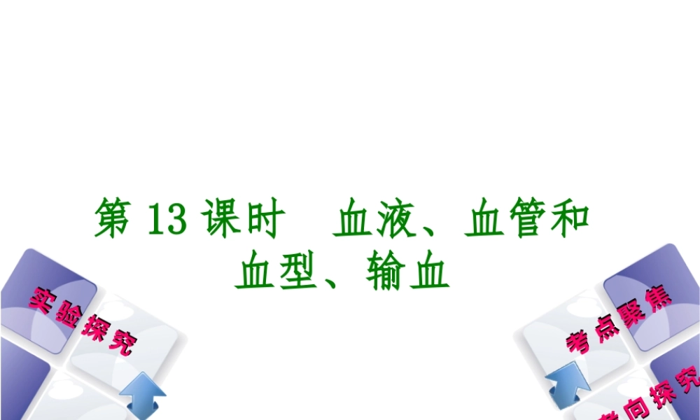 （北京专版）中考生物复习方案 主题五 生物圈中的人 第13课时 血液、血管和血型、输血课件-人教级全册生物课件