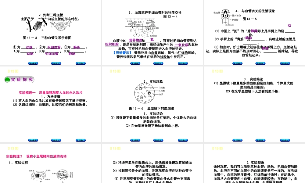 （北京专版）中考生物复习方案 主题五 生物圈中的人 第13课时 血液、血管和血型、输血课件-人教级全册生物课件