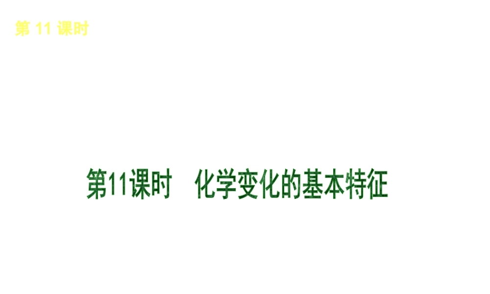 （北京专版）2013届中考化学考前热点冲刺《第11课时 化学变化的基本特征》课件（单课考点自主梳理+热点反馈+典例真题分析）