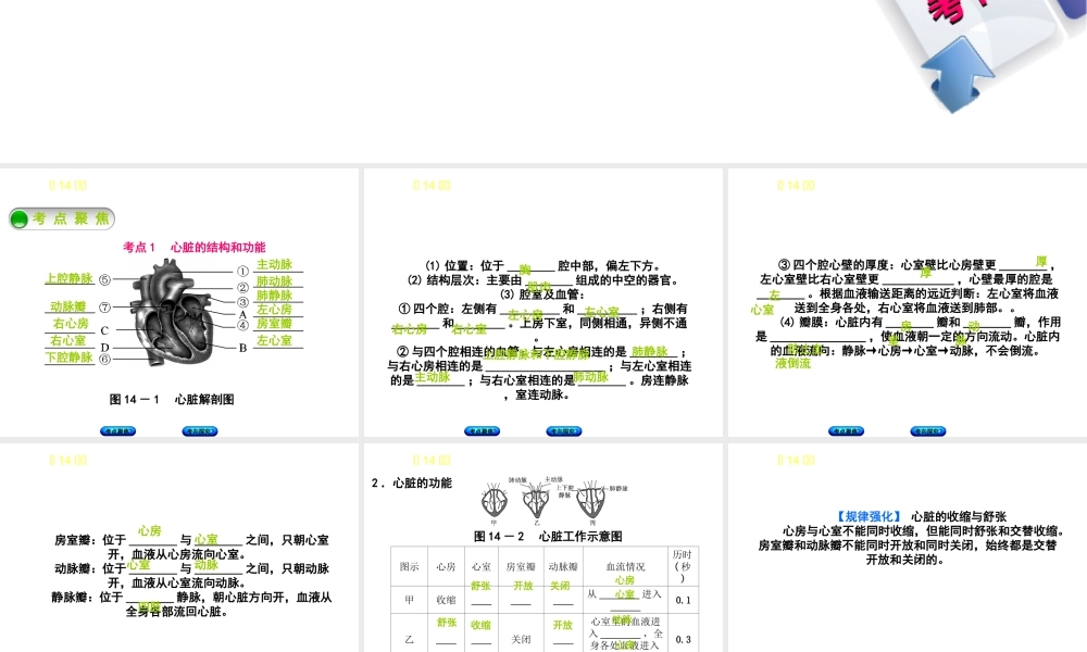 （北京专版）中考生物复习方案 主题五 生物圈中的人 第14课时 心脏与血液循环课件-人教版初中九年级全册生物课件