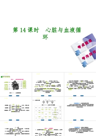 （北京专版）中考生物复习方案 主题五 生物圈中的人 第14课时 心脏与血液循环课件-人教版初中九年级全册生物课件