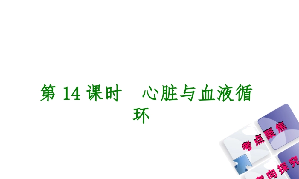 （北京专版）中考生物复习方案 主题五 生物圈中的人 第14课时 心脏与血液循环课件-人教级全册生物课件
