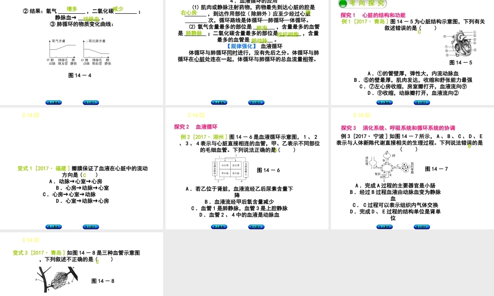 （北京专版）中考生物复习方案 主题五 生物圈中的人 第14课时 心脏与血液循环课件-人教级全册生物课件