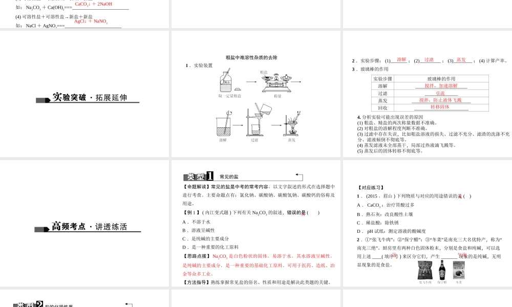 （四川地区）中考化学 第1篇 第20讲 生活中常见的盐课件-人教版初中九年级全册化学课件