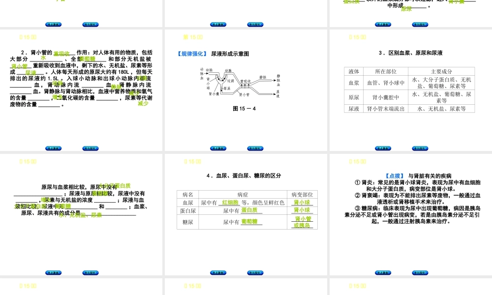 （北京专版）中考生物复习方案 主题五 生物圈中的人 第15课时 人体内废物的排出课件-人教版初中九年级全册生物课件