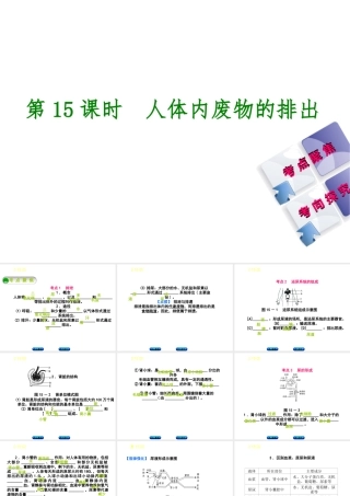 （北京专版）中考生物复习方案 主题五 生物圈中的人 第15课时 人体内废物的排出课件-人教版初中九年级全册生物课件