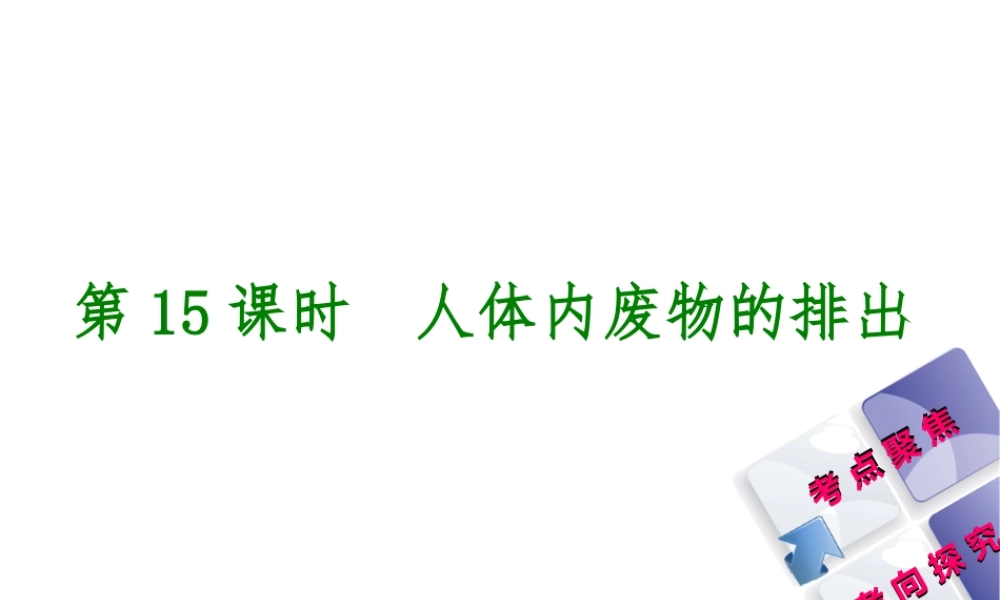 （北京专版）中考生物复习方案 主题五 生物圈中的人 第15课时 人体内废物的排出课件-人教级全册生物课件