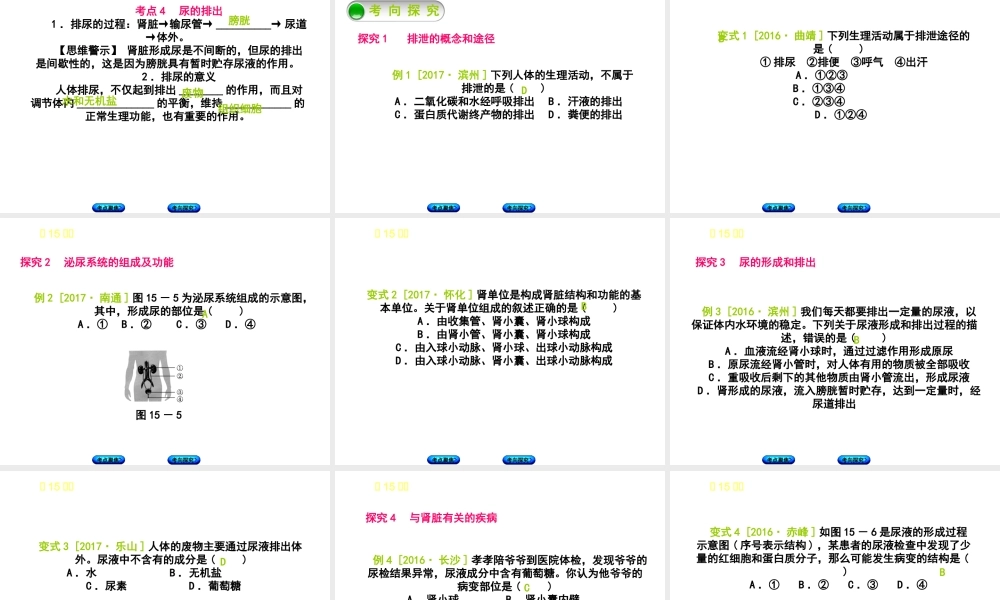 （北京专版）中考生物复习方案 主题五 生物圈中的人 第15课时 人体内废物的排出课件-人教级全册生物课件