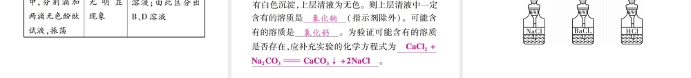 （四川地区）中考化学总复习 专题二 物质的检验与鉴别、分离与除杂、物质共存教学讲解课件-人教版初中九年级全册化学课件