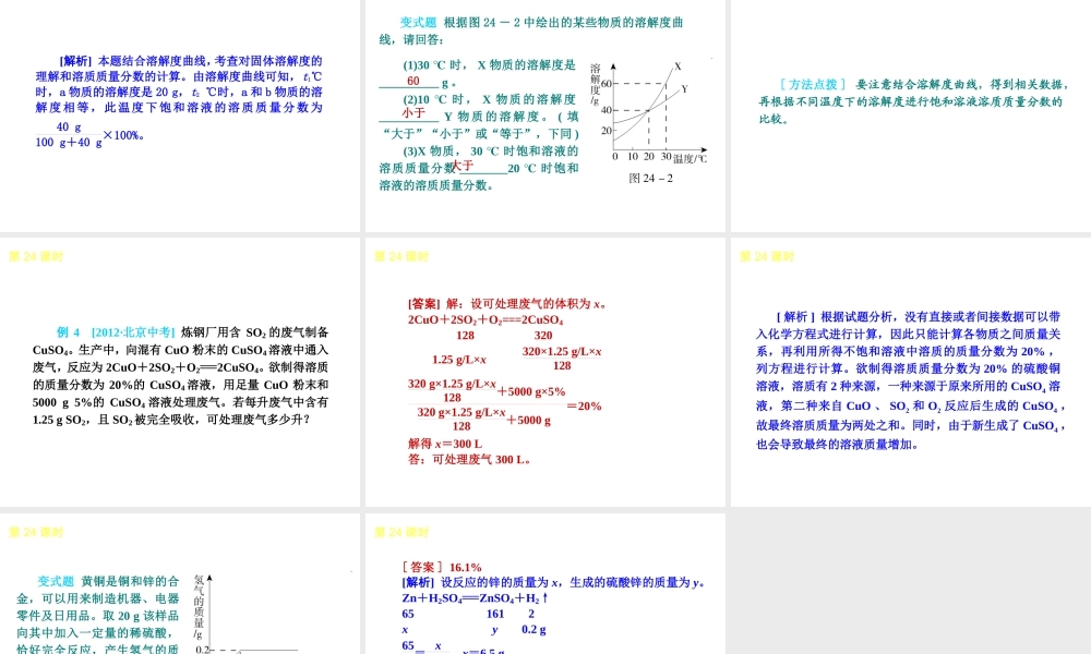 （北京专版）2013届中考化学考前热点冲刺《第24课时 有关溶质质量分数的计算》课件（单课考点自主梳理+热点反馈+典例真题分析）