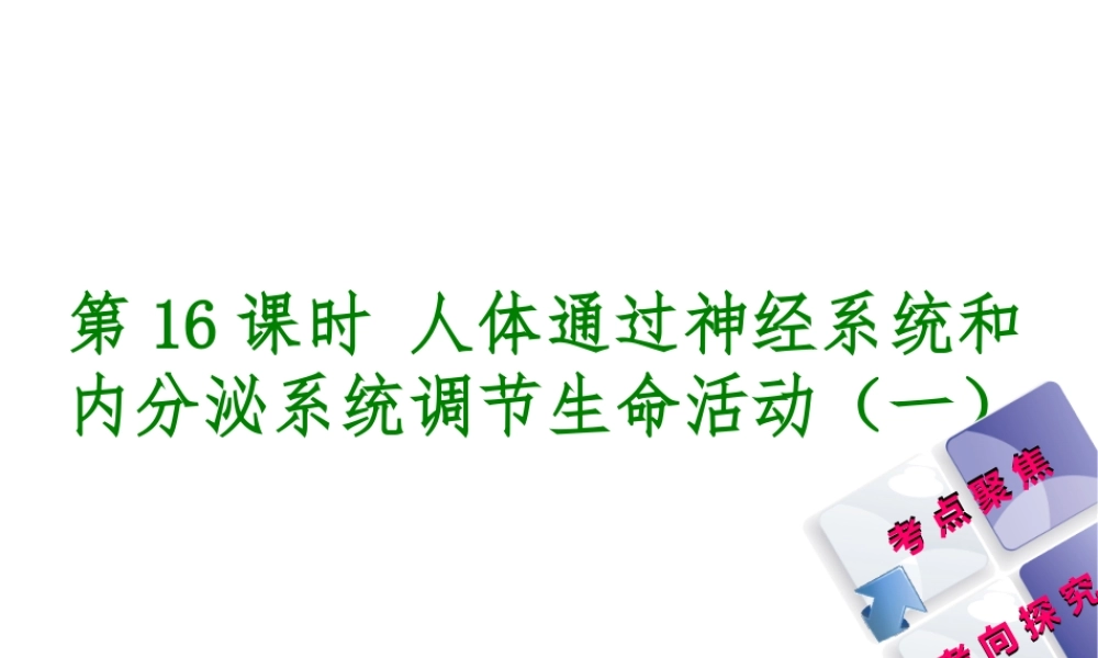 （北京专版）中考生物复习方案 主题五 生物圈中的人 第16课时 人体通光神经系统和内分泌系统调节生命活动（一）课件-人教版初中九年级全册生物课件