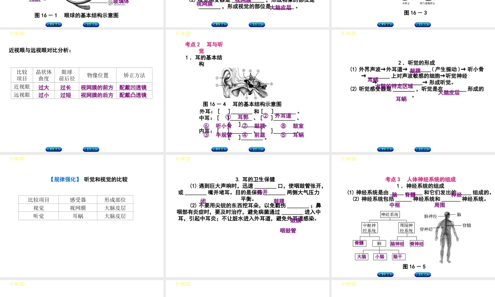 （北京专版）中考生物复习方案 主题五 生物圈中的人 第16课时 人体通光神经系统和内分泌系统调节生命活动（一）课件-人教版初中九年级全册生物课件