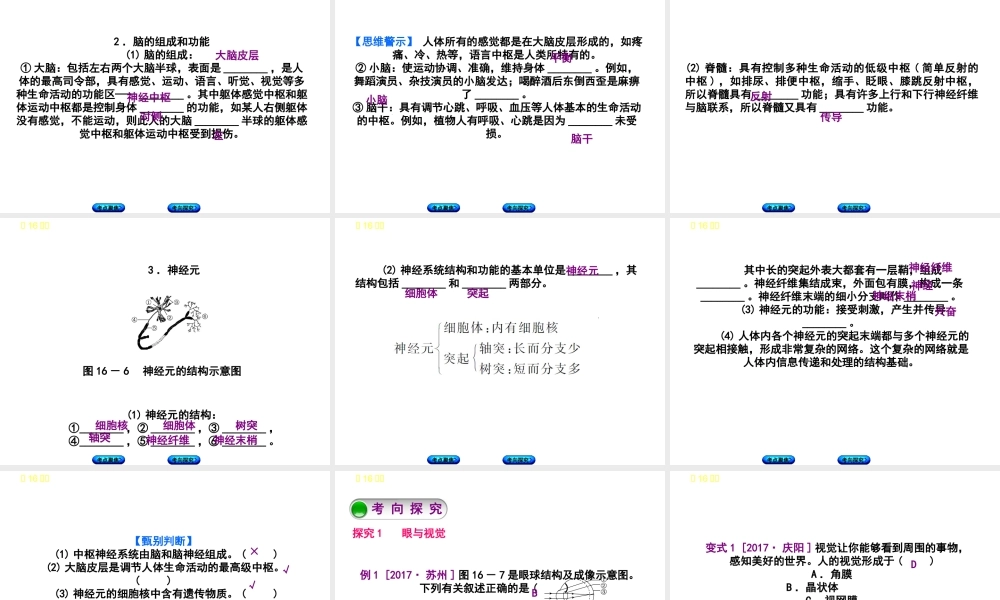 （北京专版）中考生物复习方案 主题五 生物圈中的人 第16课时 人体通光神经系统和内分泌系统调节生命活动（一）课件-人教版初中九年级全册生物课件