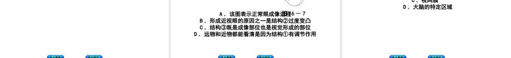 （北京专版）中考生物复习方案 主题五 生物圈中的人 第16课时 人体通光神经系统和内分泌系统调节生命活动（一）课件-人教版初中九年级全册生物课件