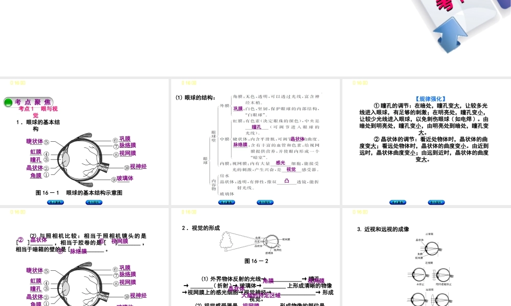 （北京专版）中考生物复习方案 主题五 生物圈中的人 第16课时 人体通光神经系统和内分泌系统调节生命活动（一）课件-人教级全册生物课件