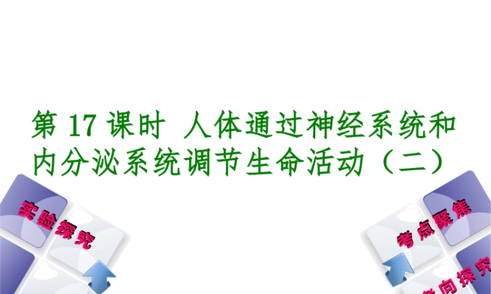 （北京专版）中考生物复习方案 主题五 生物圈中的人 第17课时 人体通光神经系统和内分泌系统调节生命活动（二）课件-人教版初中九年级全册生物课件