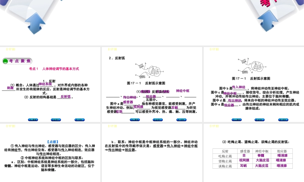 （北京专版）中考生物复习方案 主题五 生物圈中的人 第17课时 人体通光神经系统和内分泌系统调节生命活动（二）课件-人教版初中九年级全册生物课件