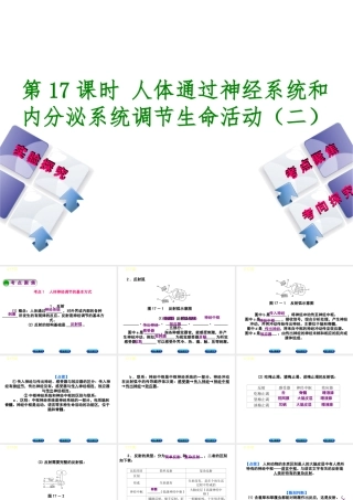 （北京专版）中考生物复习方案 主题五 生物圈中的人 第17课时 人体通光神经系统和内分泌系统调节生命活动（二）课件-人教版初中九年级全册生物课件