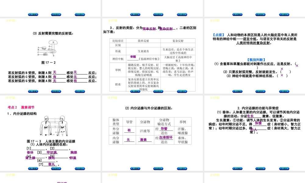 （北京专版）中考生物复习方案 主题五 生物圈中的人 第17课时 人体通光神经系统和内分泌系统调节生命活动（二）课件-人教级全册生物课件