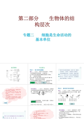 （云南专用）中考生物总复习 第二部分 生物体的结构层次 专题二 细胞是生命活动的基本单位课件-人教级全册生物课件