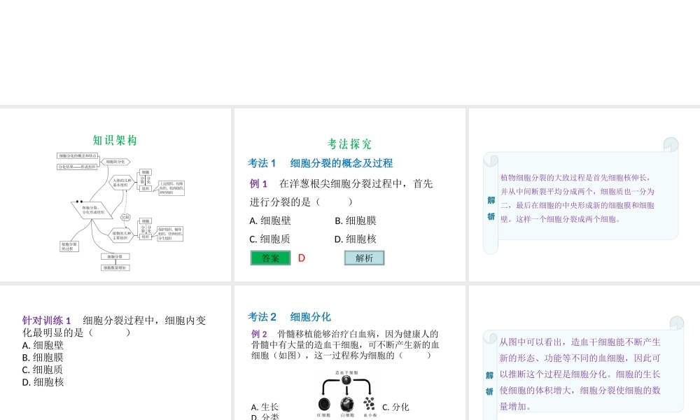 （云南专用）中考生物总复习 第二部分 生物体的结构层次 专题三 细胞分裂 分化形成组织课件-人教级全册生物课件