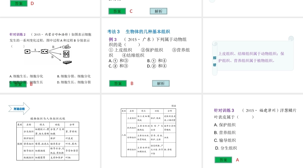 （云南专用）中考生物总复习 第二部分 生物体的结构层次 专题三 细胞分裂 分化形成组织课件-人教级全册生物课件