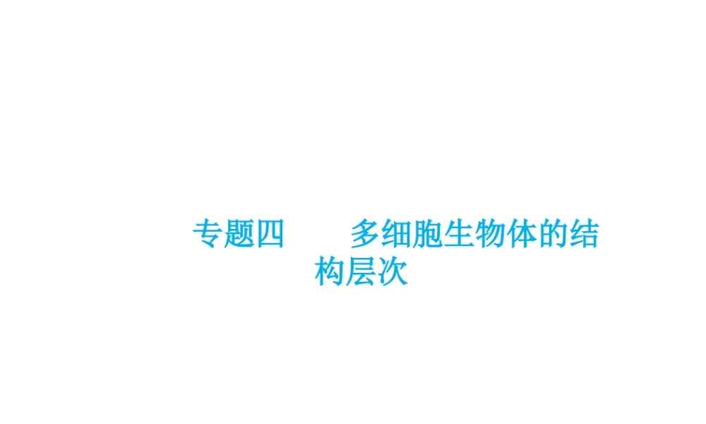 （云南专用）中考生物总复习 第二部分 生物体的结构层次 专题四 多细胞生物体的结构层次课件-人教版初中九年级全册生物课件