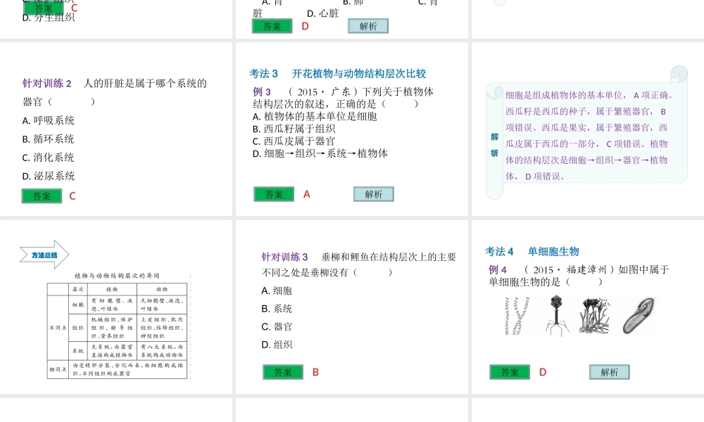（云南专用）中考生物总复习 第二部分 生物体的结构层次 专题四 多细胞生物体的结构层次课件-人教级全册生物课件