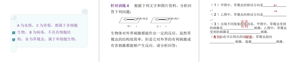 （云南专用）中考生物总复习 第二部分 生物体的结构层次 专题四 多细胞生物体的结构层次课件-人教级全册生物课件