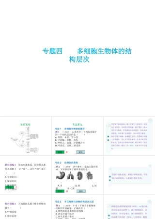 （云南专用）中考生物总复习 第二部分 生物体的结构层次 专题四 多细胞生物体的结构层次课件-人教级全册生物课件