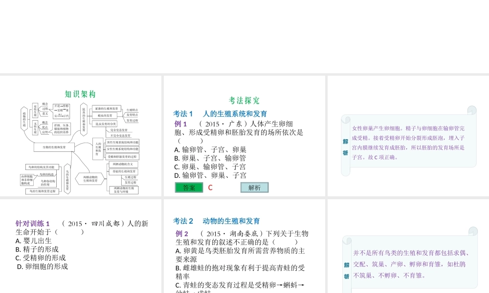 （云南专用）中考生物总复习 第七部分 生物的生殖发育与遗传 专题十六 生物的生殖和发育课件-人教级全册生物课件