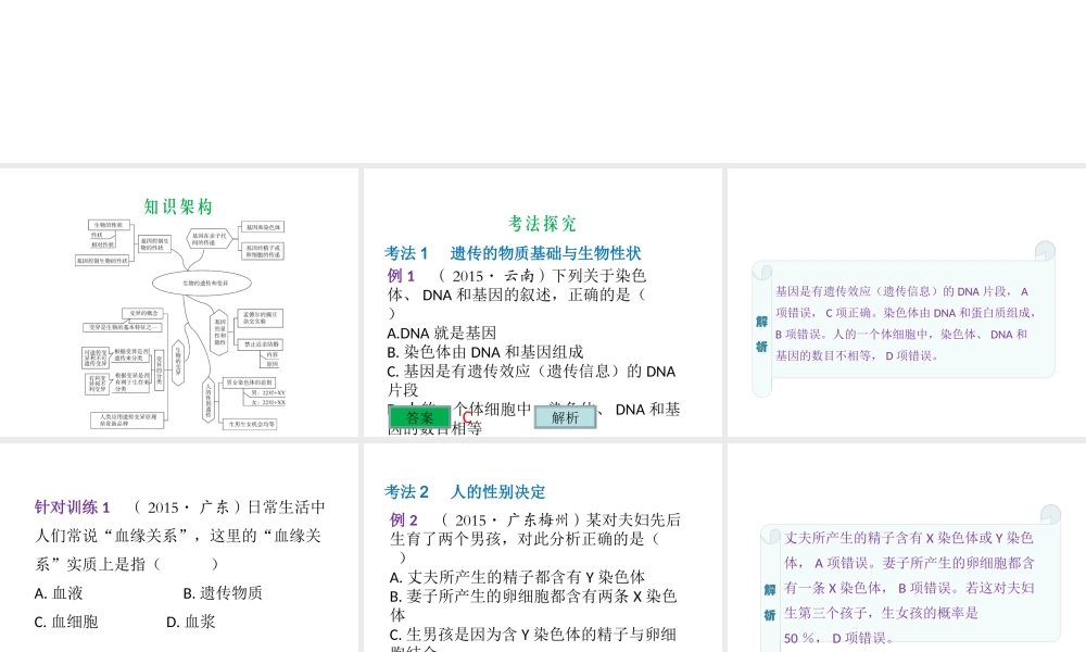 （云南专用）中考生物总复习 第七部分 生物的生殖发育与遗传 专题十七 生物的遗传和变异课件-人教版初中九年级全册生物课件