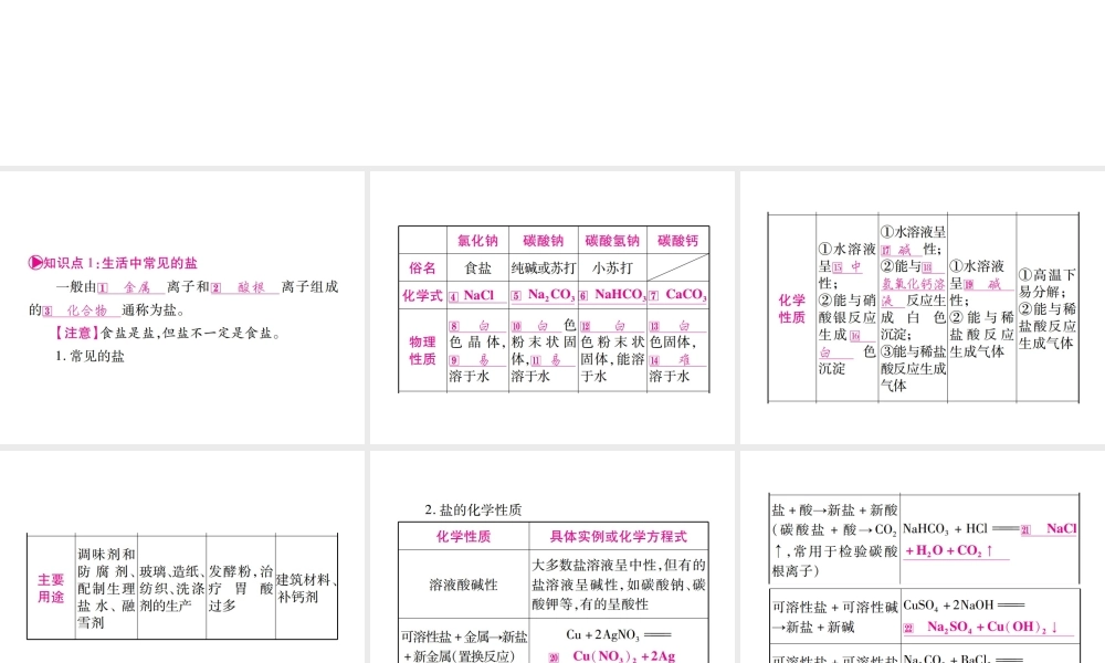 （四川地区）中考化学总复习 第11单元 盐 化肥教学讲解课件-人教版初中九年级全册化学课件