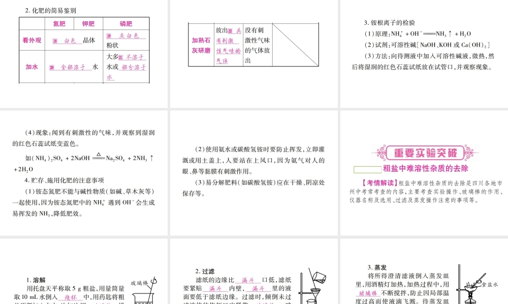 （四川地区）中考化学总复习 第11单元 盐 化肥教学讲解课件-人教版初中九年级全册化学课件
