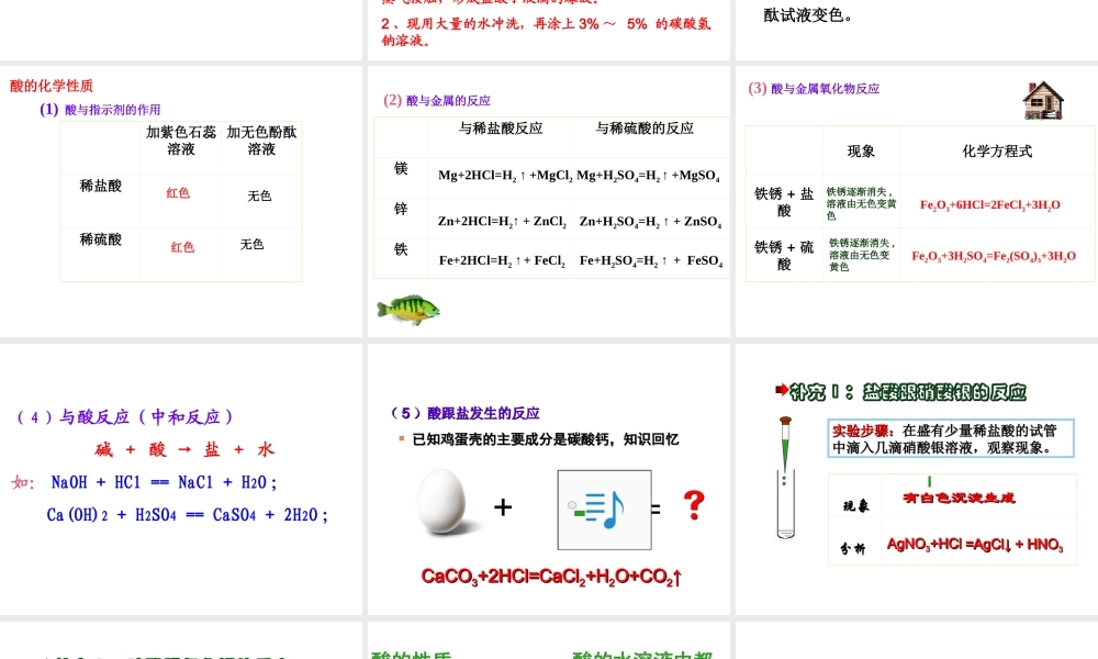 （天津地区）中考化学总复习 第十单元 酸和碱课件-人教版初中九年级全册化学课件