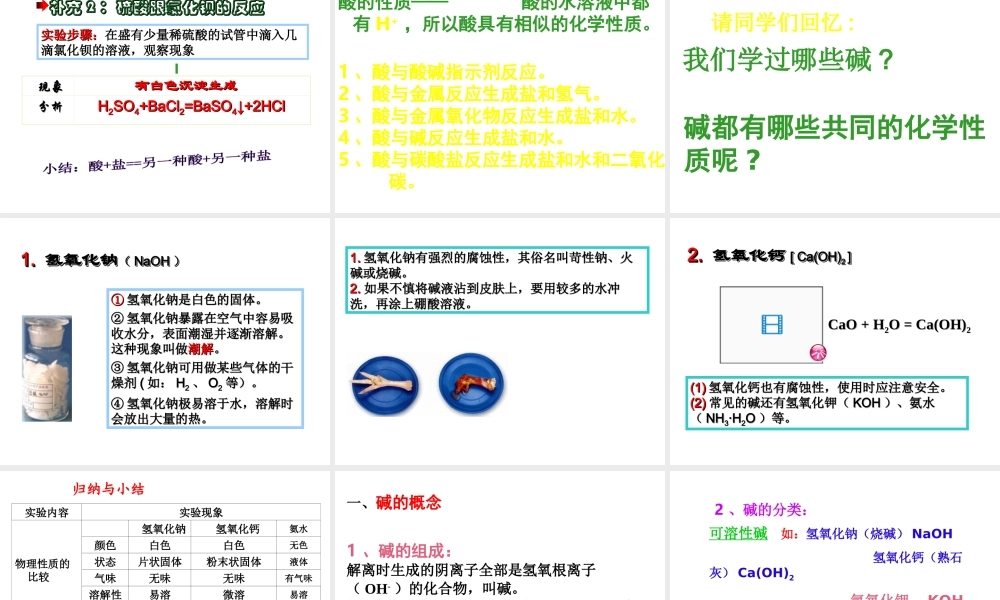 （天津地区）中考化学总复习 第十单元 酸和碱课件-人教版初中九年级全册化学课件